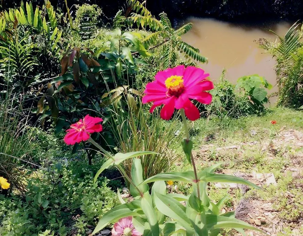 Lanta Wanida Resort Ko Lanta